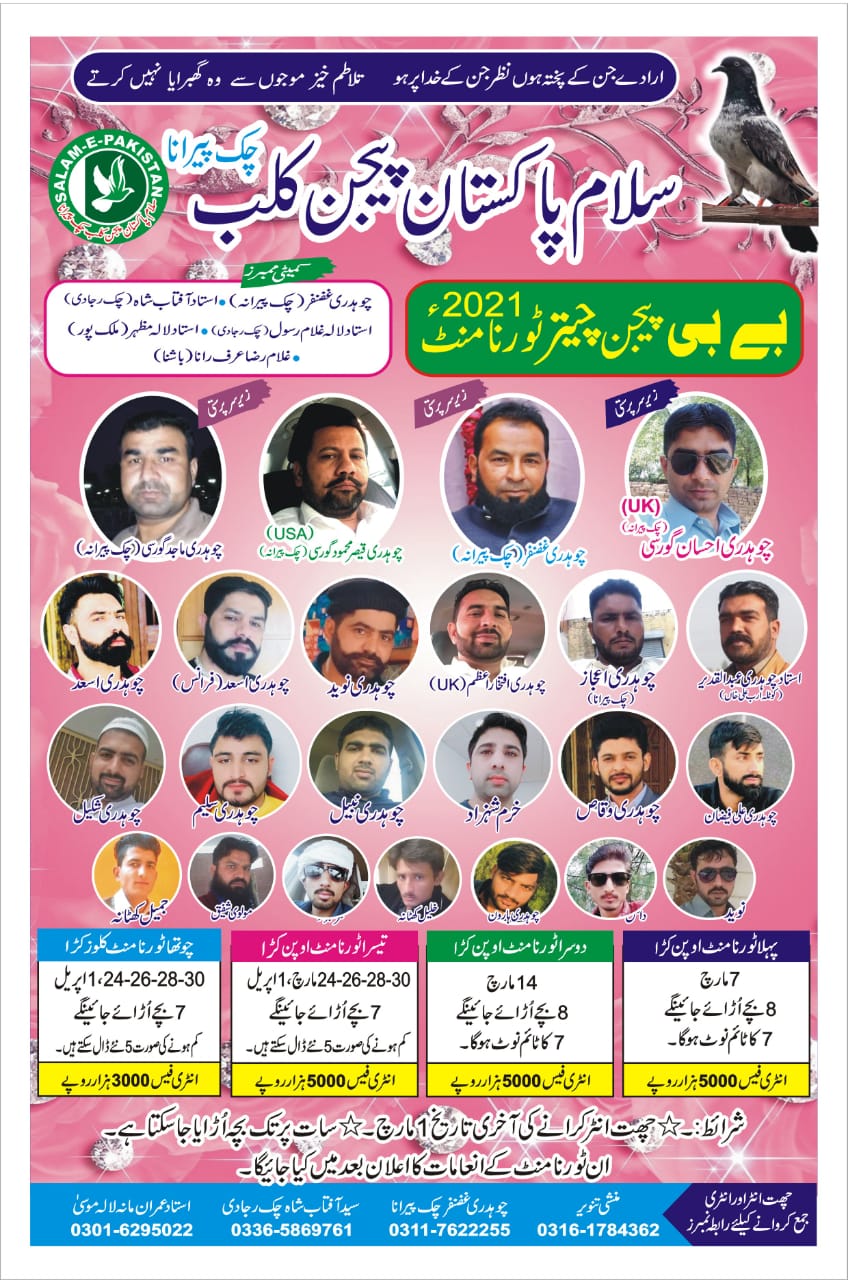 Baby pigeons tournament 3 days(close kara)