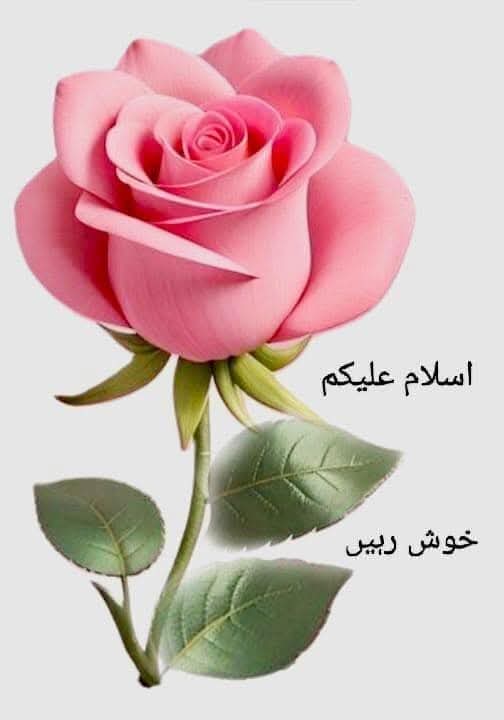 گورسی پجن کلب چک پیرنہ 10 اپریل ون ڈے ٹورنامنٹ 
