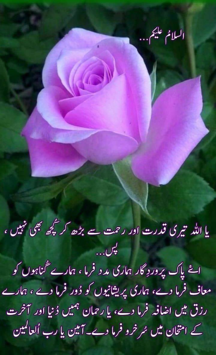 سلام پاکستان سات روزہ جیٹھ ٹورنامنٹ 
